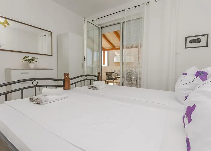 Katka Near Blue 沃迪切